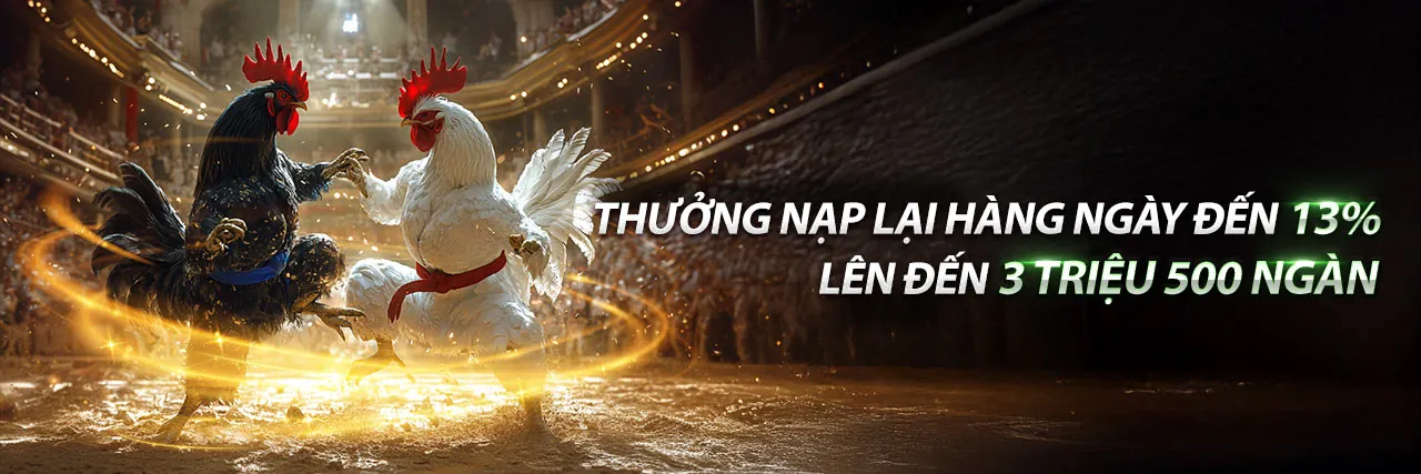 Đá gà Campuchia ngày 28 tháng 10 - Sân đấu đầy kịch tính